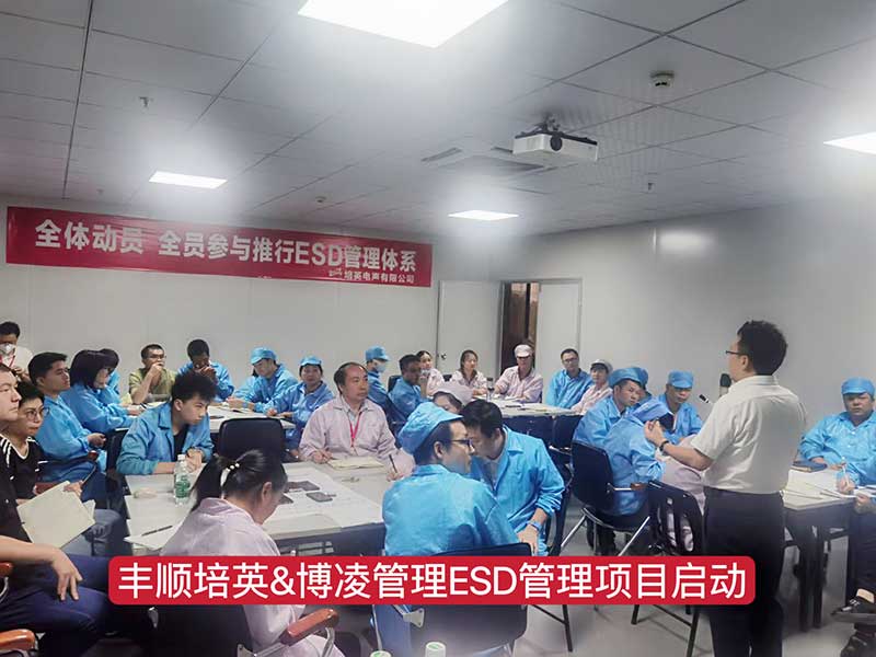 博凌管理為Tier1車載供應商培英電聲公司導入ESD管理系統，提升產品質量穩定可靠性
